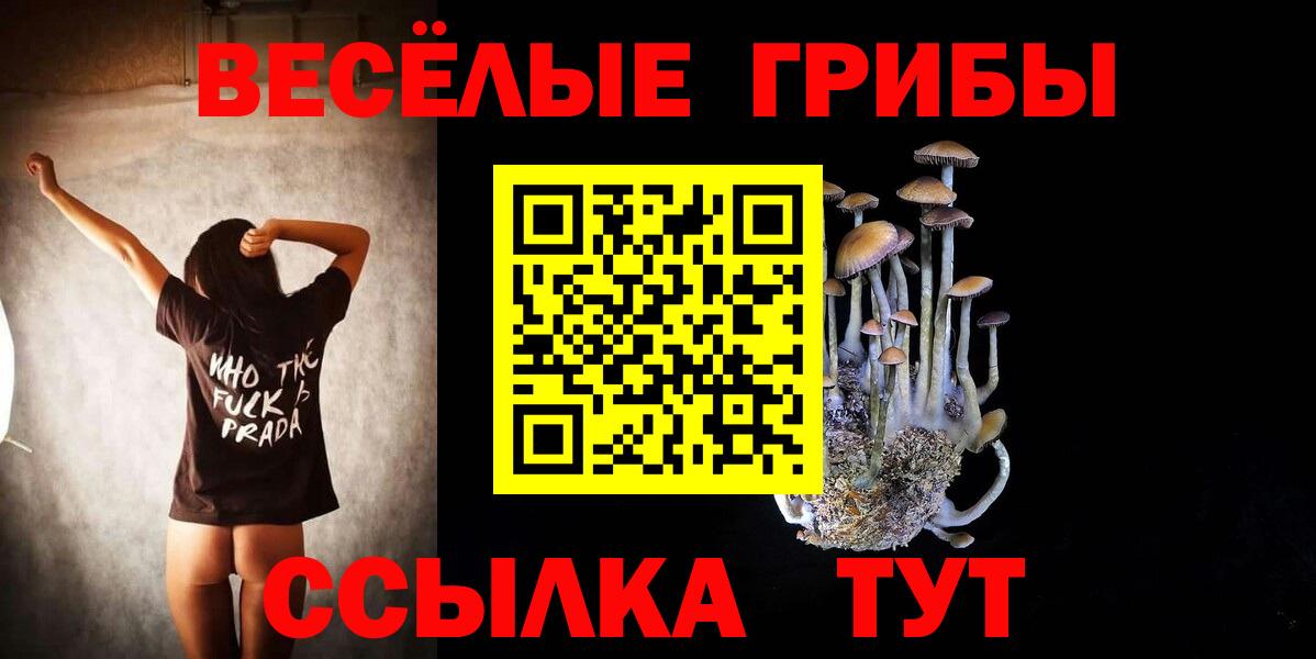 Метадон Новоалтайск